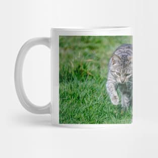 elb tabby Mug